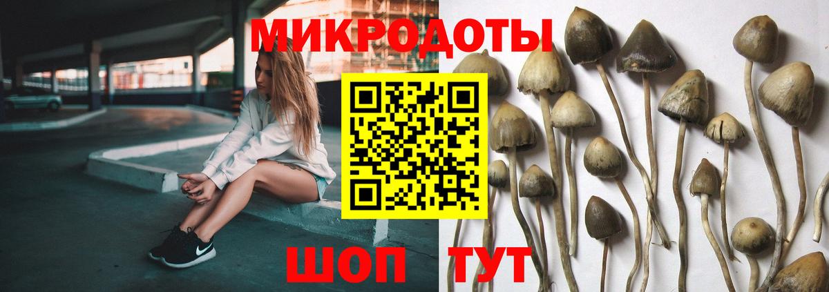 Псилоцибиновые грибы GOLDEN TEACHER  купить наркотик  Комсомольск-на-Амуре  Вход с VPN  Галлюциногенные грибы GOLDEN TEACHER 